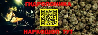 ГАЛЛЮЦИНОГЕННЫЕ ГРИБЫ Волжский