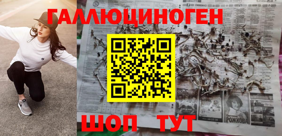 Псилоцибиновые грибы MAGIC MUSHROOMS  что такое   Вход с VPN  Жуковский  Галлюциногенные грибы Magic Shrooms 