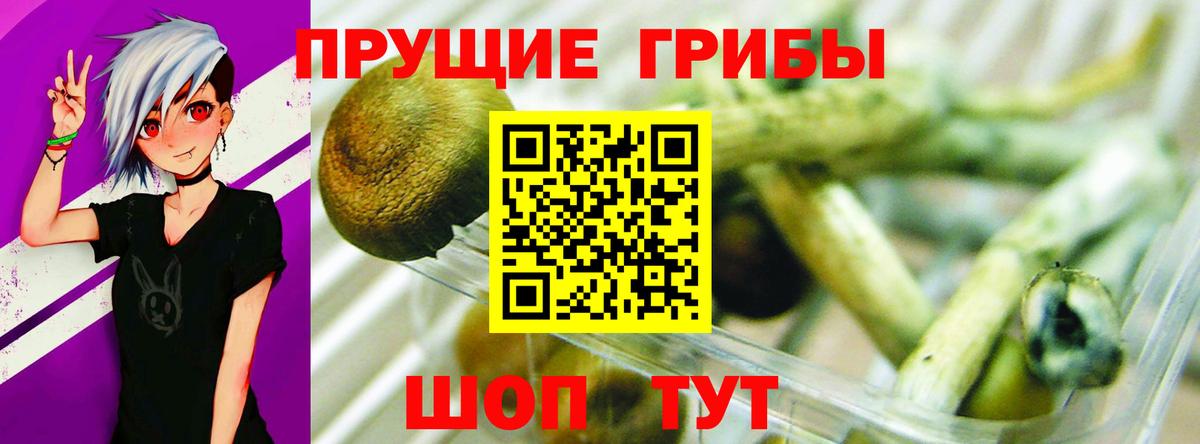 Галлюциногенные грибы ЛСД Жуковский